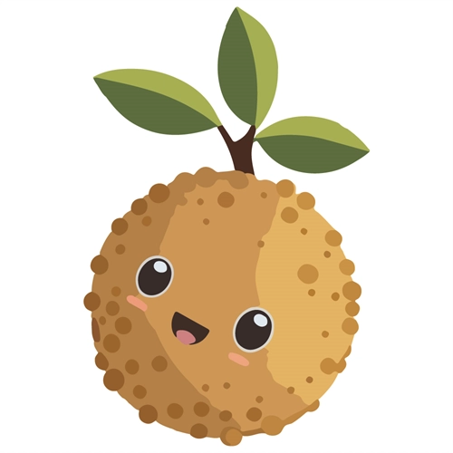 Longan Classroom Fruit Transparent Sticker